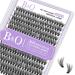 Lash Clusters Individual Lashes 260 PCS 30D 40D 9mm Wispy 3D Effect 3D Natural Cluster Lashes Fluffy Eyelash Extensions DIY at Home(Q40D-9mm) 280PCS-(3D Fluffy)40D-9mm 1 count (Pack of 1)