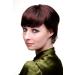 Shop Short Women's Bob Human Hair Wig - Chestnut Brown Mix (2T33) | 8951HH-2T33 - International Shipping Available - Buy Online on SooperMarket.com