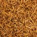Premium 1kg Dried Mealworms - High Protein Flourworms for Reptiles Birds Fish & More | International Shipping Available - Buy Online on SooperMarket.com