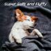 Petmaker Waterproof Pet Blanket 50x60 - Reversible Plaid Throw for Couch, Car, Bed - Large Red Dog and Cat Blanket - Buy Online on SooperMarket.com