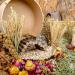 Niteangel Natural Harvest Wind Flower & Herb Hamster Bedding - Habitat Decor for Small Pets - Buy Online on SooperMarket.com