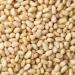 Pine Nuts (Pignolias) - 0.5 lb Bag | Fresh Raw Nuts for Baking, Snacking, Salads & Pesto | Keto-Friendly, Vegan, Sugar-Free & Kosher | High-Protein Pignoli - 0.5 Pounds - Buy Online on SooperMarket.com