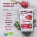 Organic Wild Nordic Forests Freeze Dried Cranberry Powder - 6 Oz | Raw & Sugar-Free | 35-Day Supply - Buy Online on SooperMarket.com