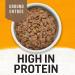 Purina Beyond Grain Free Wet Dog Food - Chicken, Carrot & Pea - 12 Cans (13 oz) - Natural Adult Entree - Buy Online on SooperMarket.com