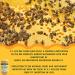 Y.S. Eco Bee Farms Y.S. Organic Bee Farms Wholesome Natural Raw Honey Unpasteurized Unfiltered Fresh Raw State Kosher Pure Natural Healthy Safe Gluten Free Specially Harvested 22oz - 2pk - Buy Online on SooperMarket.com