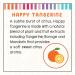 Little Twig Bath Time Bubbles Gift Set - Unscented/Lavender/Tangerine - 2.18 Pound - Buy Online on SooperMarket.com