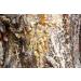 Georgia Premium Pine Rosin 1lb - Tree Resin for Beeswax Wraps & Hand Grip Enhancer for Sports & Rodeo - Buy Online on SooperMarket.com