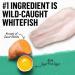 Purina Beyond Grain-Free Ocean Whitefish & Egg Cat Food 3lb - Natural Adult Dry Food - Buy Online on SooperMarket.com