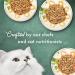 Purina Fancy Feast Gravy Wet Cat Food Variety Pack - Medleys Primavera Collection - 24 Cans x 3 oz - Buy Online on SooperMarket.com
