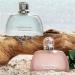 Tommy Bahama St. Bart's Seascape Eau De Parfum Perfume for Women Eau de Parfum - 3.4 Fl Oz - Buy Online on SooperMarket.com