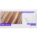 L'Oreal Paris Frost and Design Caramel Hair Highlighting Kit - 1 Count - Buy Online on SooperMarket.com