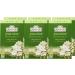 Ahmad Tea Jasmine Romance Green Tea with Jasmine Flowers - 20 Tea Bags (2g) - Ribbon Tea Bags - Pack of 1 - Buy Online on SooperMarket.com
