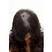 WIG ME UP Ombre Sexy Ladies Wig - Dark Brown & Reddish Brown Mix Long Curly Hair SA070-6T30H4 - Shop Internationally! - Buy Online on SooperMarket.com