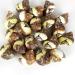 Worlds 3 PC Assorted Turbo Petholatus Carved Sea Shells Hermit Crab Shells 2"-2-1/2"Inch - Buy Online on SooperMarket.com