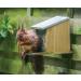 Squirrel Nut Feeder Zinc Roof Pinewood FSC 100% Wildlife Garden - Buy Online on SooperMarket.com