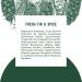 Schmidt's Aluminum Free Natural Deodorant for Women and Men Fresh Fir and Spice with 24 Hour Odor Protection Certified Natural Vegan Cruelty Free 2.65 oz Fresh Fir and Spice 2.65 Ounce (Pack of 1) - Buy Online on SooperMarket.com