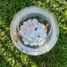 Kalapanta Kit Try-Pack: 12 Mixed Decorative Stones - White Recycled Plastic for Pots Painting Aquariums & Gardens - Buy Online on SooperMarket.com