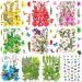 223 Pieces Real Dried Flowers Leaves and Butterfly Stickers Set  Multiple Pressed Dry Flowers Colorful Natural Daisies Flowers and Adhesive Butterfly Decals for DIY Resin Jewelry Nail Crafts