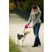 Buy Flexi Retractable Dog Leash 4.6m Small Red - Best for Small Dogs | International Shipping Available - Buy Online on SooperMarket.com
