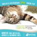 Raw Paws Pet Natural Catnip 1-oz - Premium Loose Catnip Leaf for Cats - Potent Refill for Toys - Cat Catnip Herb Dried - Buy Online on SooperMarket.com
