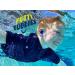 PUTTY BUDDIES Floating Earplugs 3-Pair Pack - Soft Silicone Ear Plugs for Swimming & Bathing - Doctor Recommended and Premium Quality - Keep Water Out - Green/Yellow/Blue - Buy Online on SooperMarket.com