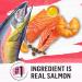 Beyond Superfood Blend Natural Dry Dog Food Wild Caught Salmon Egg & Pumpkin - 1.67 kg Bag 1.67 kg (Pack of 1) Dog Food - Buy Online on SooperMarket.com