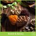 Dried Fruit & Nuts Gift Basket with Green Ribbon - Holiday Gourmet Bouquet for Birthday & Christmas - Kosher Snack Box for Men & Women - 4 Assortments - Buy Online on SooperMarket.com