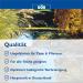 S ll 80381 Dr. Roth's Pond Clear - Microbiological Pond Cleaning & Algae Control 1kg for 20 000 Liters | Eco-Friendly Water Treatment - Buy Online on SooperMarket.com