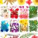 109 Pieces Real Dried Press Flowers Set  Natural Pressed Dry Flowers Leaves Mixed Multiple Dried Flowers with Tweezers for Craft DIY Candle Resin Jewelry Nail Pendant Making Supplies