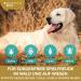 Premium Tick Spray for Dogs - 250ml | Natural & Effective Protection Against Ticks | Made in Germany - Buy Online on SooperMarket.com