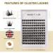 120 Clusters D Curl Wide Stem DIY Eyelash Extension Kit - 10-16mm Soft Fluffy False Lashes - W08# (08-mix) - Buy Online on SooperMarket.com