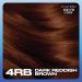 Clairol Nice'n Easy Cr me 4RB Dark Reddish Brown Permanent Hair Dye - Oil Infused Formula - Buy Online on SooperMarket.com