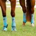 Professional's Choice 2XCOOL Sport Medical Boots - 4-Pack L Turquoise | International Shipping Available - Buy Online on SooperMarket.com