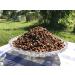 Bee Bread Perga Fermented Bee Pollen Raw & Natural No Preservatives No Genetic Engineering Suitable for Vegetarians 500g.