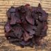 BEEFit BBQ Biltong Beef Jerky 10x30g - High Protein, Gluten Free, Keto Friendly - Buy Online on SooperMarket.com