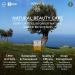 APIVITA Queen Bee Absolute Anti-Aging Cream - Light Texture 50 ml | Regenerate & Renew Skin | International Shipping Available - Buy Online on SooperMarket.com