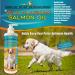 TerraMax Pro Premium Wild Alaskan Salmon Oil for Dogs and Cats - Omega-3 Supplement with EPA, DHA Fatty Acids, Astaxanthin & Vitamin D - 32 Fl. Oz - Buy Online on SooperMarket.com