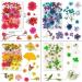 Dried Pressed Flowers 170+ Pcs - Bulk Natural Floral Fillers for Resin Crafts & Jewelry - 5 Color Set - Buy Online on SooperMarket.com