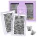 Lash Clusters 208 PCS Cluster Lashes Individual Lashes B01 Eyelash Extensions 8-16mm DIY Lash Extensions D Curl Volume Wispy Soft Comfortable Band False Lashes (D-8-16MIX B01+B01) Lash Kit B01+B01 1 count (Pack of 1)