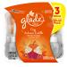 Glade PlugIns Scented Oil Air Freshener Refill Cozy Autumn Cuddle 3 Refills 2.01 fl oz