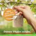 DELICIA Premium Insect Bird Balls - 6 Pack for Garden & Wild Birds | Meisen Dumplings with Hangers - High-Quality Bird Feed - Buy Online on SooperMarket.com