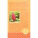 Equal Exchange Organic Ginger Herbal Tea - Caffeine Free, 20 Tea Bags (1.05 oz) - Buy Online on SooperMarket.com
