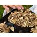 Sun Dried Porcini (Ceps) Luxury Choice - Extra Premium Quality (300) 300.0 grams - Buy Online on SooperMarket.com