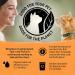 Purina Beyond Grain Free Natural Dry Cat Food - White Meat Chicken & Egg Recipe, 5 lb Bag - Buy Online on SooperMarket.com
