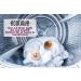 ECOTIQUE Wool Dryer Balls 100% Natural Fabric Softener Reusable Reduces Clothing Wrinkles and Saves Drying Time Saves Energy Costs Eco-Friendly Pack of 6 XL (Assorted Designs) - Buy Online on SooperMarket.com