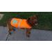 SafetyPUP XD - Reflective Dog Vest | Hi-Visibility Blaze Orange Vest for Medium Dogs | Protect Your Pup from Accidents - Buy Online on SooperMarket.com