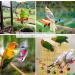 Bird Parakeet Cockatiel Toy Set - 19 Pcs Bird Cage Swing, Hammock, Chewing Toys & Wooden Perches for Conures, Love Birds, Finches, Budgies - Buy Online on SooperMarket.com