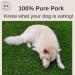 Bounce and Bella Pig Ears Strips for Dogs Natural Dog Chews Healthy Treats Help Clean Dogs Teeth 150 g (Pack of 1) - Buy Online on SooperMarket.com