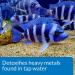 API Tap Water Conditioner for Aquariums - 1 Oz | Effective Water Treatment - Buy Online on SooperMarket.com