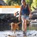 Tuff Mutt Hands Free Dog Leash A Dog Running Leash for Dogs That Makes A Great Waist Leash for Dog Walking Double Handle Bungee Dog Leash with Reflective Stitching and Adjustable Dog Walking Belt Gray - Buy Online on SooperMarket.com
